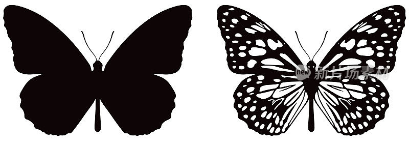 Vector illustration of butterfly on white background. There are two versions, black shape and black and white